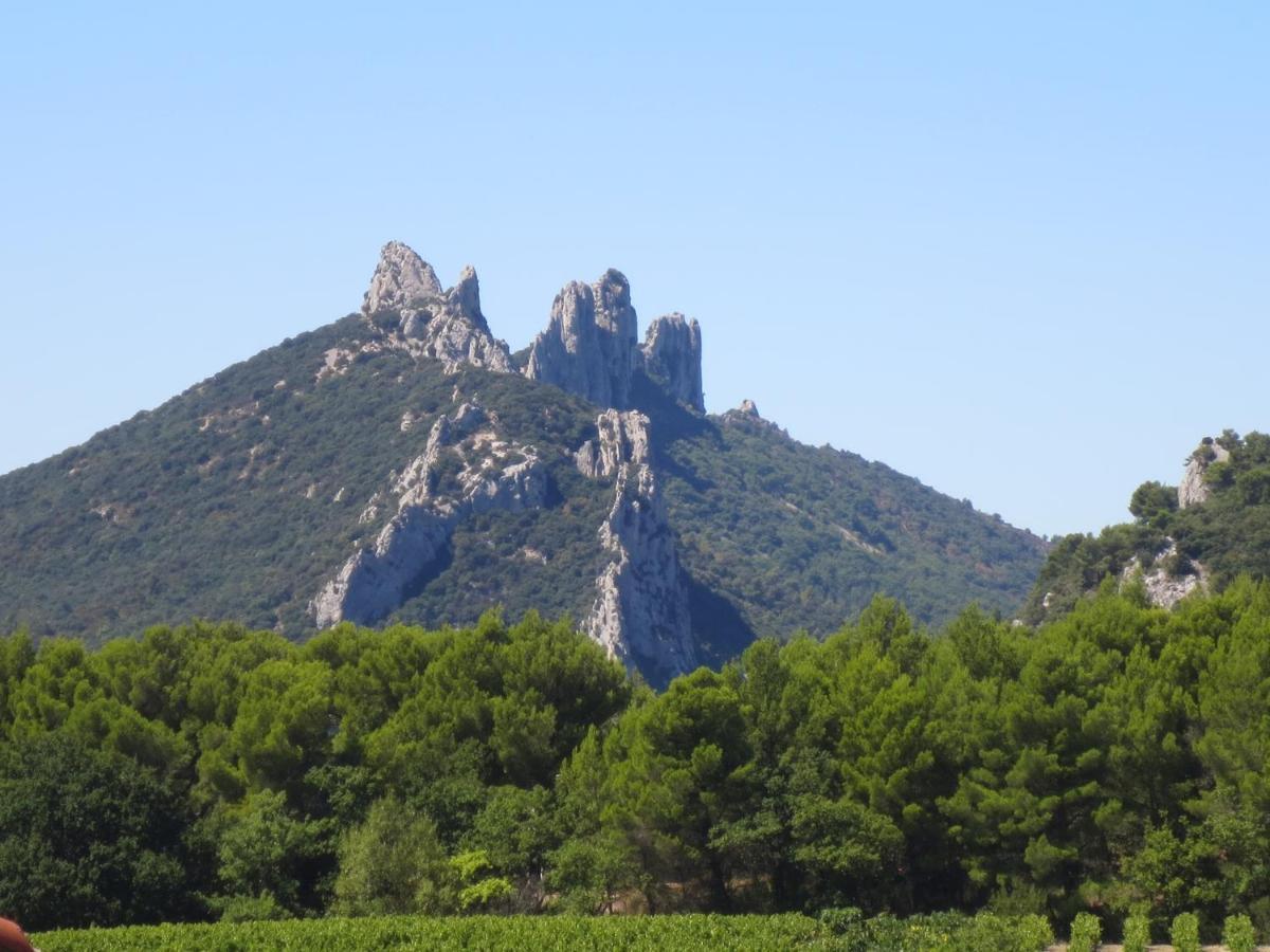 贝端Oustau Du Ventoux住宿加早餐旅馆 外观 照片